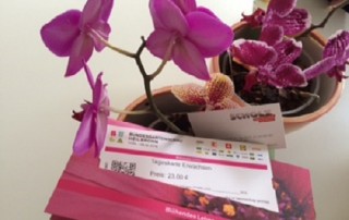 Personalvermittlung Heilbronn: Gutschein für BUGA und Violette Orchidee